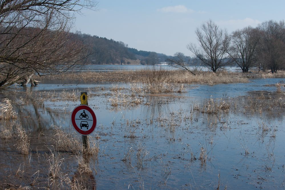 Im Oderbruch bei Gützebieser Loose