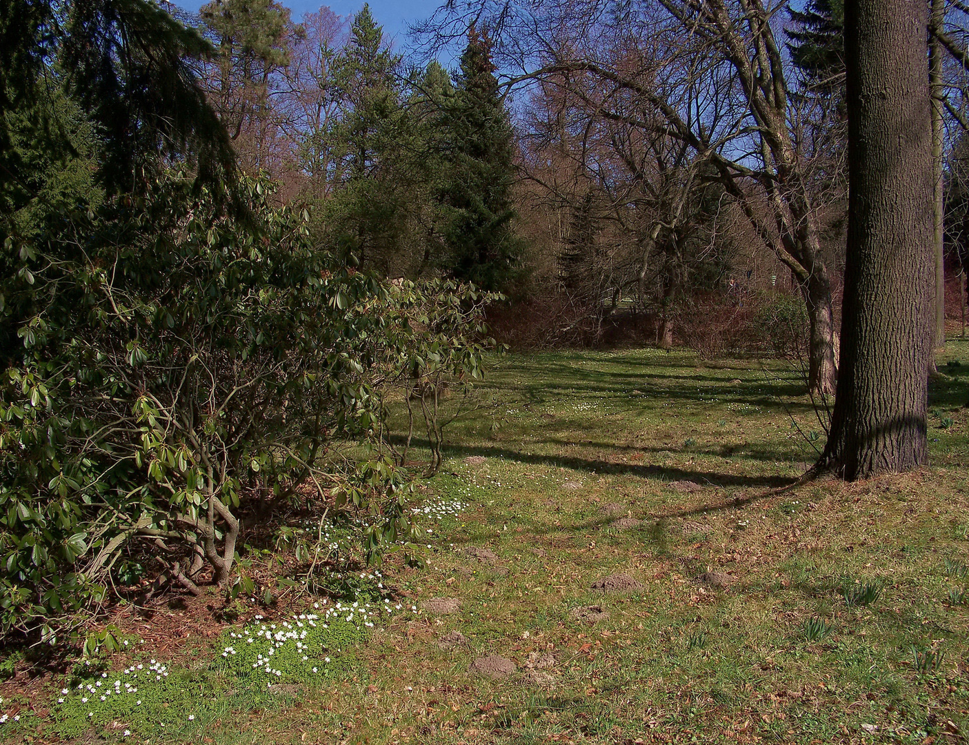 Im Oederaner Stadtpark