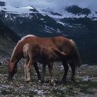 Im Ötztal