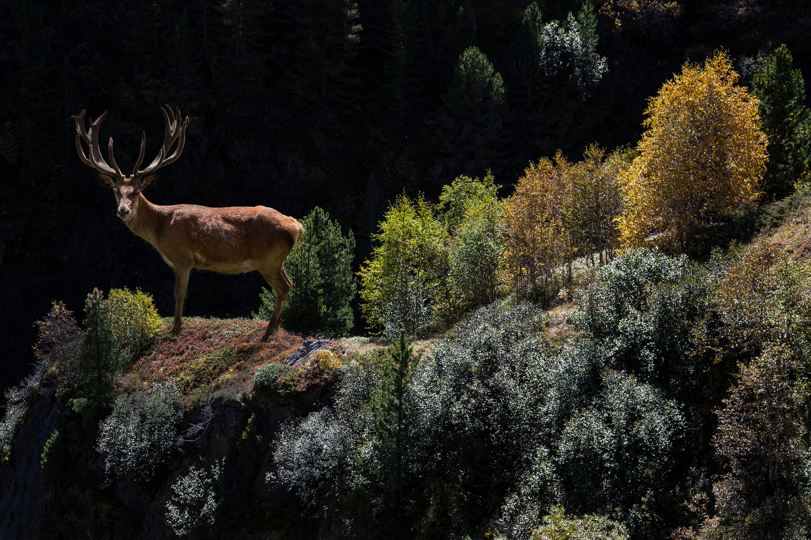 Im Ötztal beim wandern