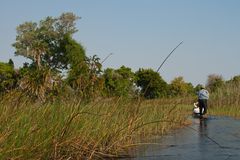 Im Okavango Delta...