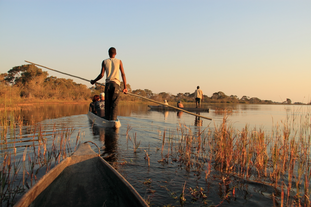 im Okavango Delta