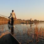 im Okavango Delta