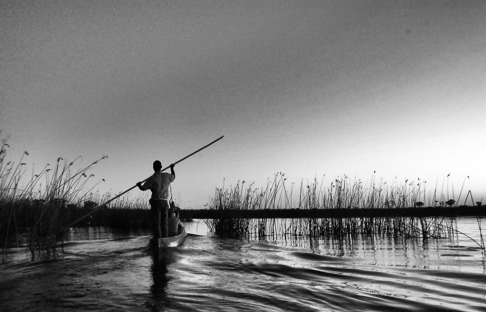 im Okavango Delta