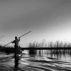 im Okavango Delta