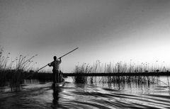 im Okavango Delta