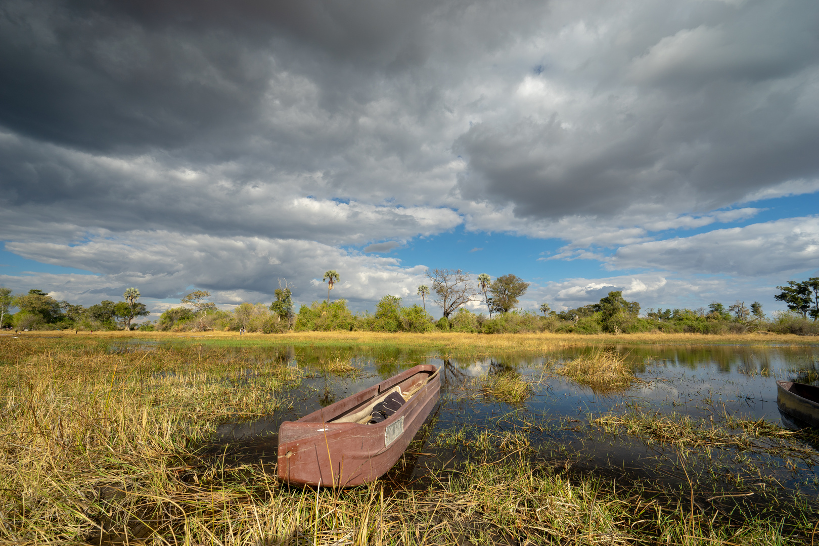 Im Okavango-Delta