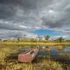 Im Okavango-Delta