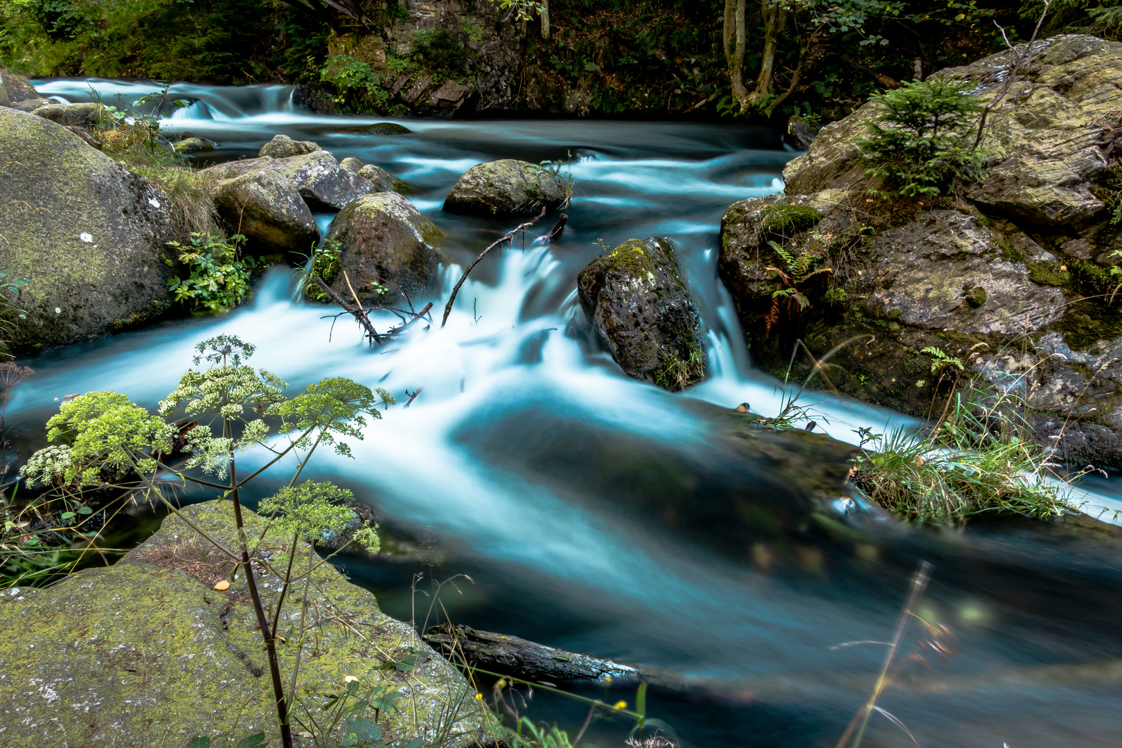 Im Okertal, Harz_IMG_0145