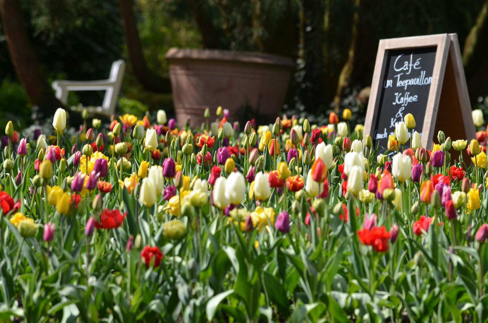 Im Oldenburger Schlossgarten gibt es Kaffee & Kuchen