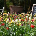 Im Oldenburger Schlossgarten gibt es Kaffee & Kuchen