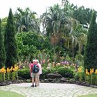 Im Orchideengarten von Singapur