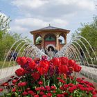 Im orientalischen Garten in den Gärten der Welt in Berlin