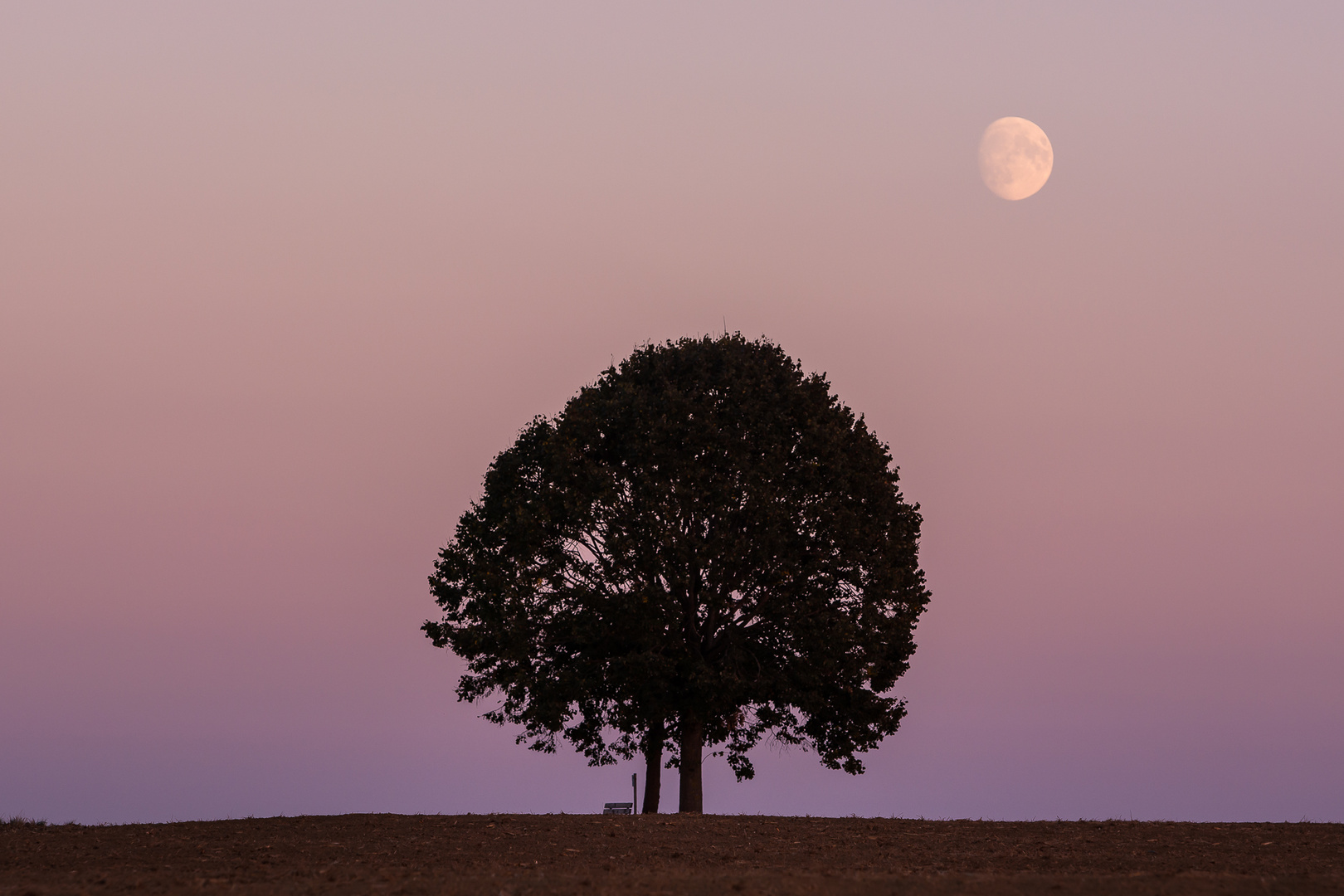 Im Osten geht der Mond auf, während im Westen die Sonne untergeht. Eine ganz besondere Stimmung.