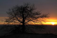 Im Osten geht die Sonne auf