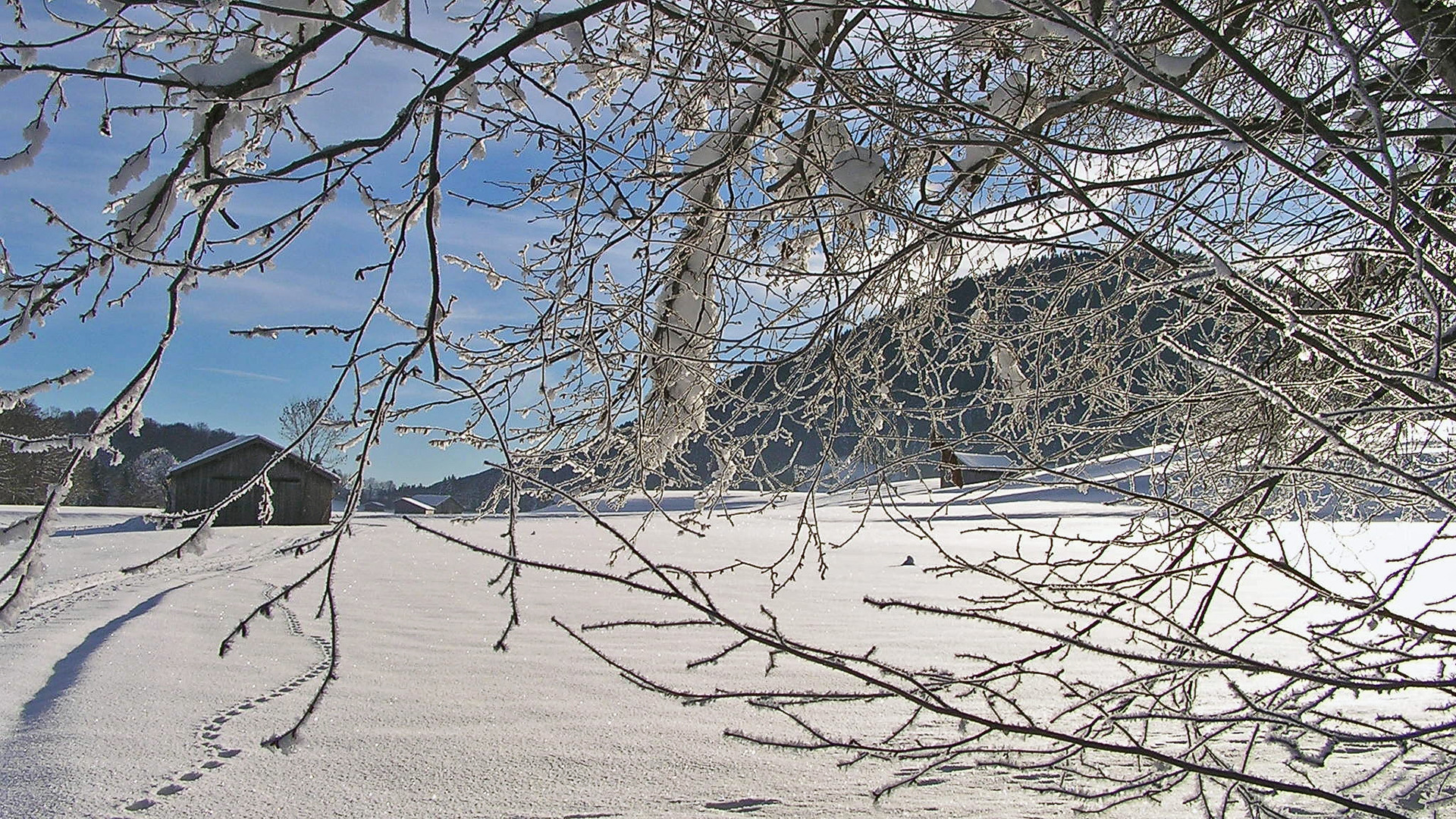 Im Osterzgebirge im 800m Höhenbereich liegt jetzt auch  fast 40 cm Schnee...