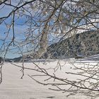 Im Osterzgebirge im 800m Höhenbereich liegt jetzt auch  fast 40 cm Schnee...