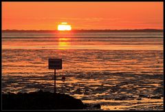 Im Ostfriesischen Wattenmeer