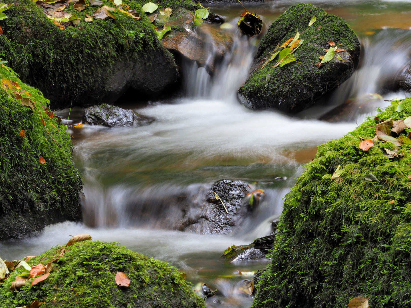 Im Otterbachtal 2017