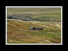 Im Paine Nationalpark 01