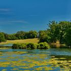 Im Painshill Gardens / England