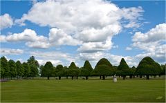 Im Palastgarten von Hampton Court Palace / England 2