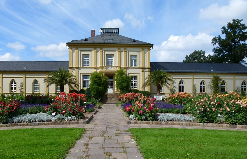 im Palmengarten Frankfurt Foto Bild deutschland im Palmengarten Frankfurt Foto Bild deutschland