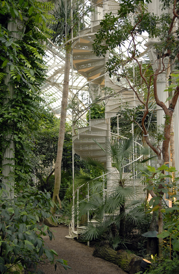 Im Palmenhaus