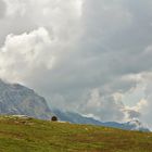 im Palü_Gletscher_Garten