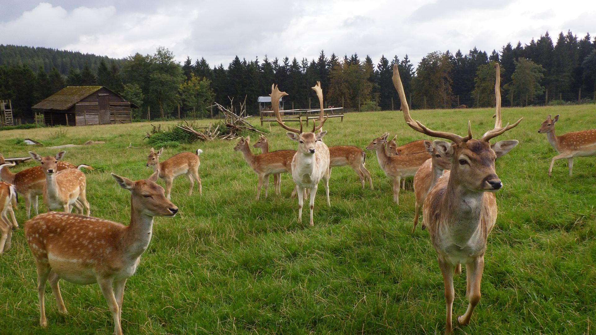 im Panoramerpark 8