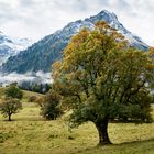 im "Paradies" bei Hinterstein