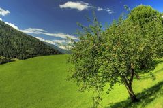 Im Paradies sind die Äpfel reif