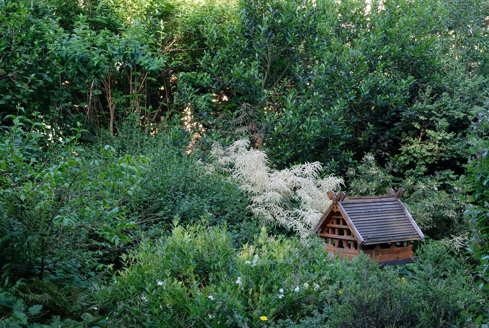 "Im Paradies" - Vogelhaus im Frühsommer im Marcus-Garten