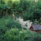 "Im Paradies" - Vogelhaus im Frühsommer im Marcus-Garten