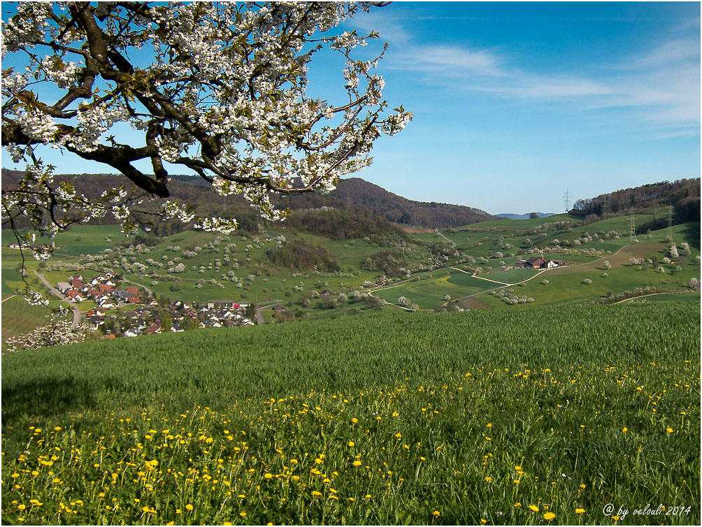 im Paradiesgarten