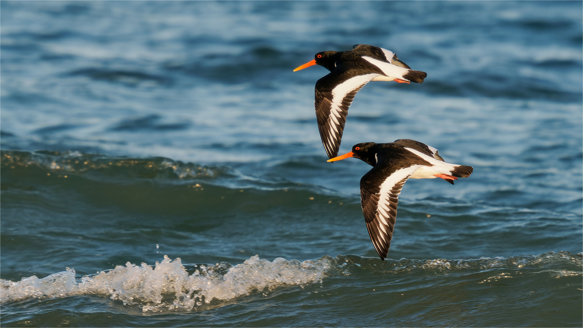 im Parallel - Flug über die Ostsee  .....