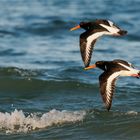 im Parallel - Flug über die Ostsee  .....