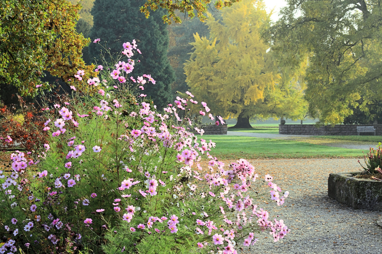 Im Parc de Schoppenwihr