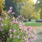 Im Parc de Schoppenwihr