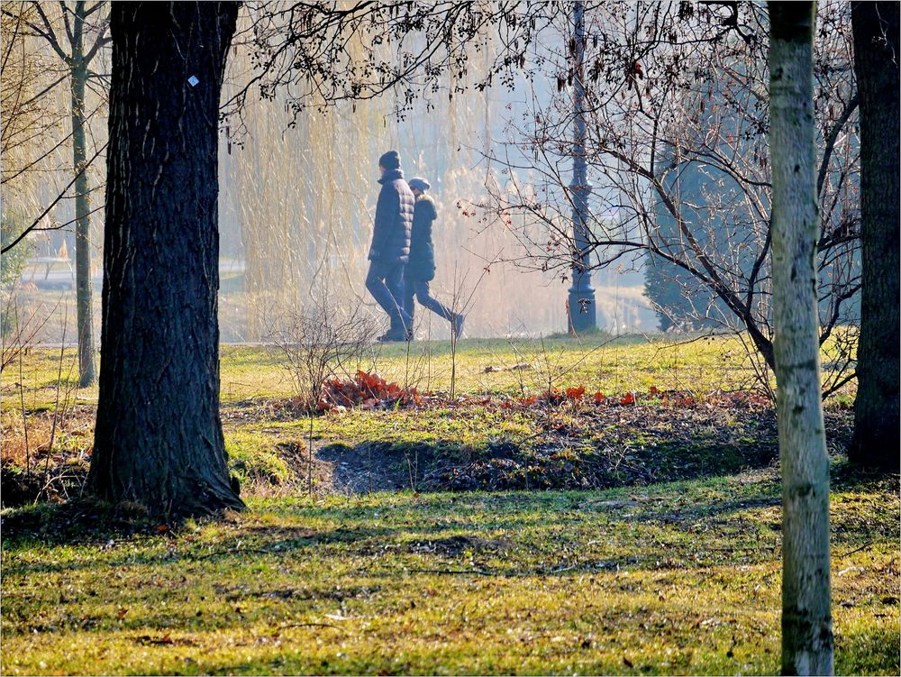 im park Foto & Bild erwachsene menschen, landschaft, garten