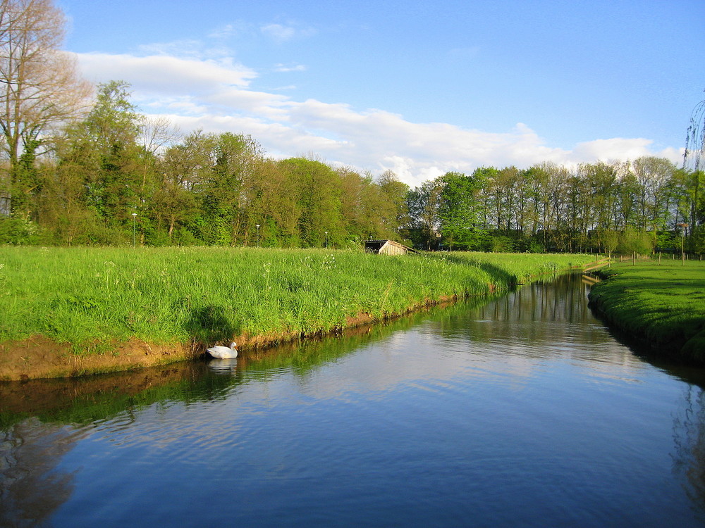 Im Park 2 Foto &amp; Bild landschaft, garten