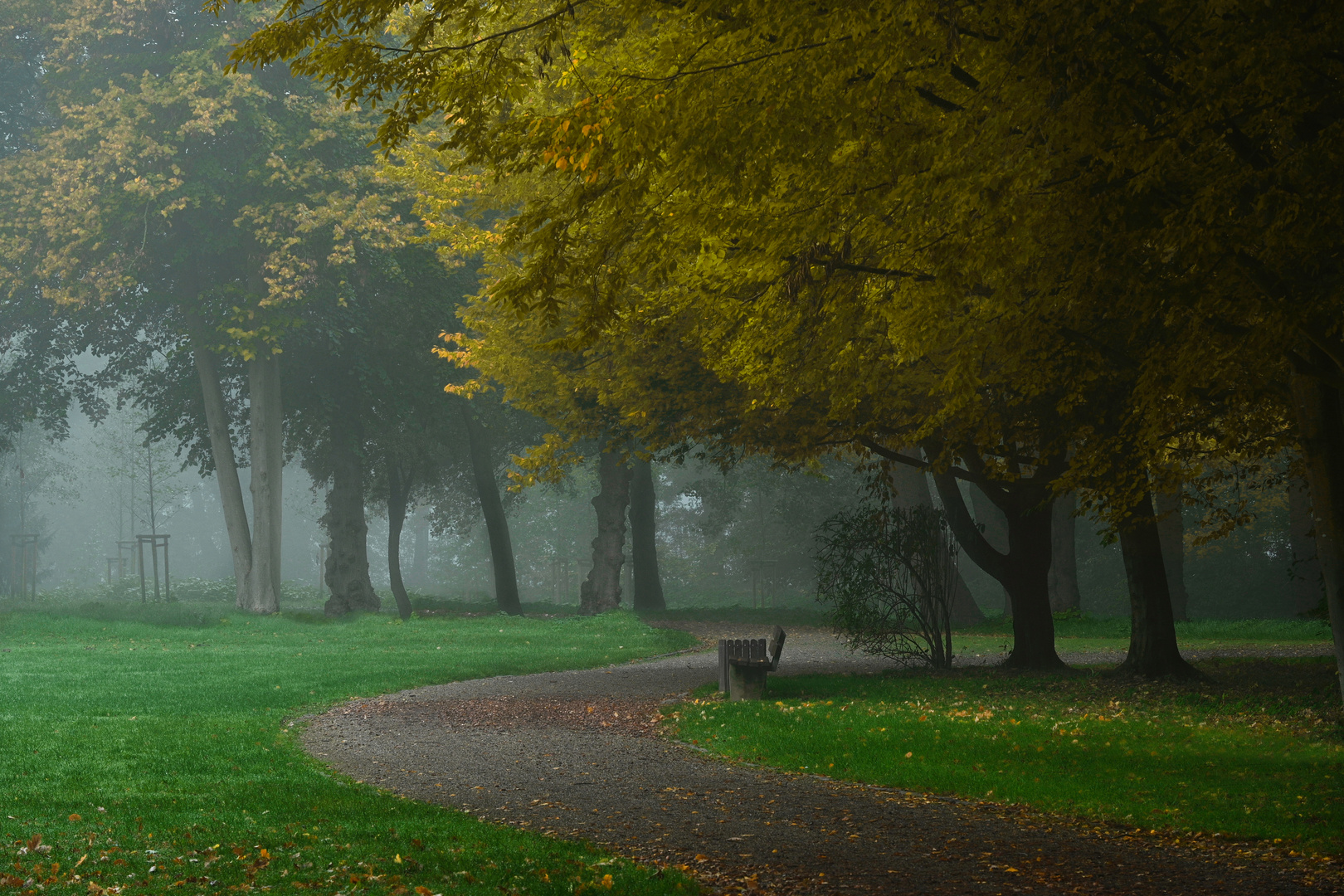 Im Park Foto & Bild landschaft, garten & parklandschaften