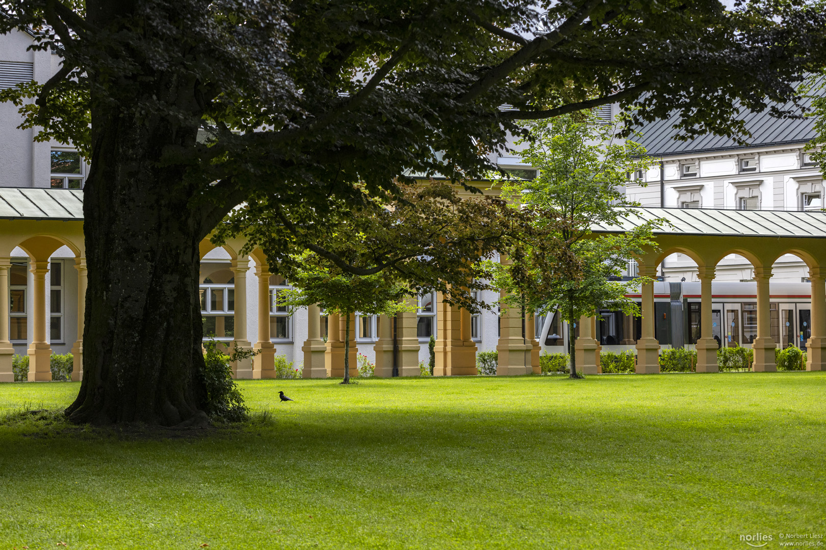 Im Park bei den Hessing Arkaden