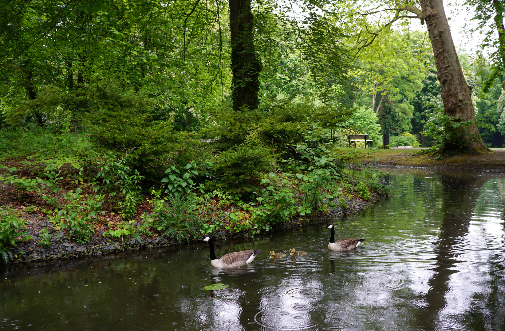 Im Park Borbeck, Essen, April 2020 