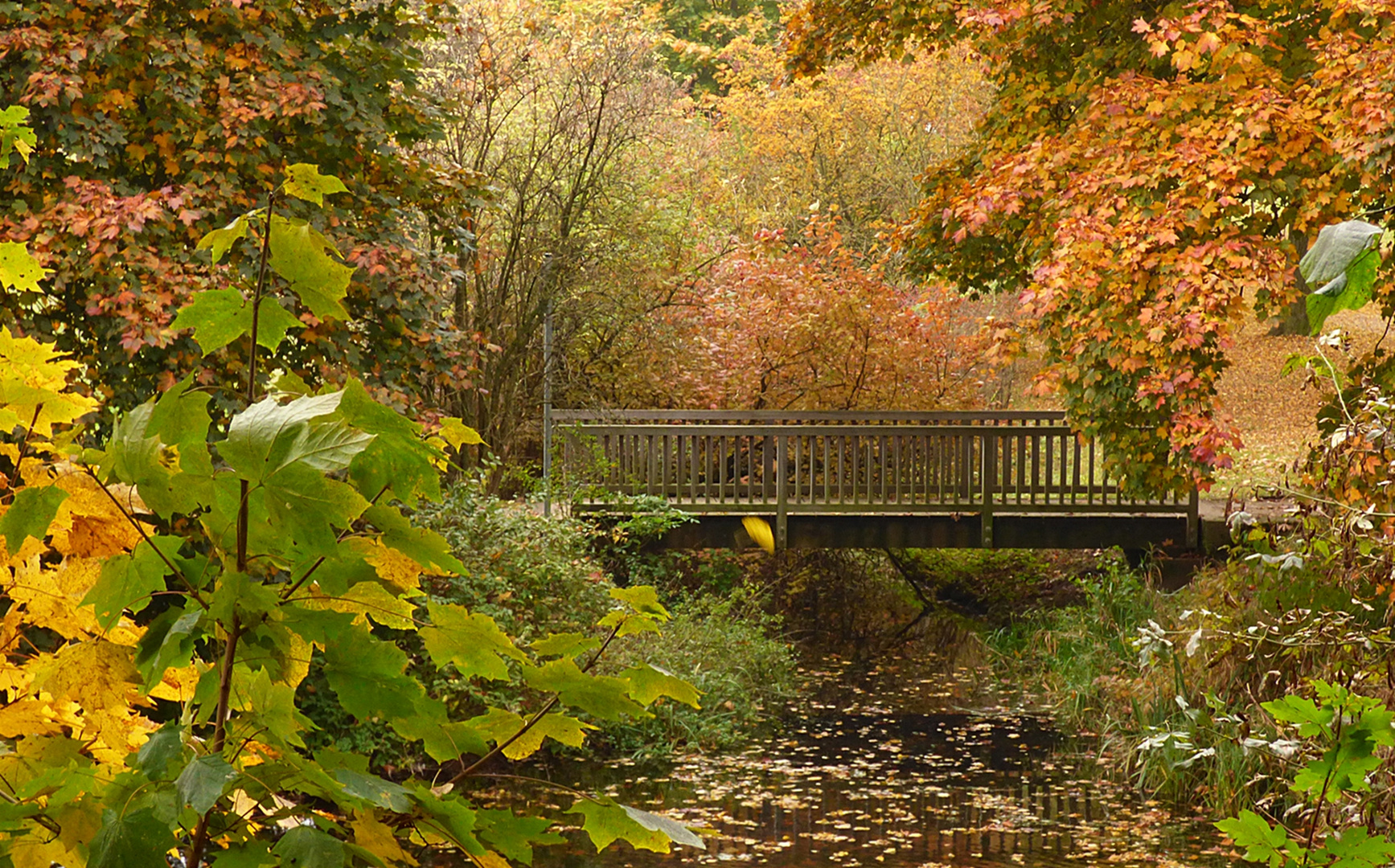 Im Park Burg Linn - Krefeld