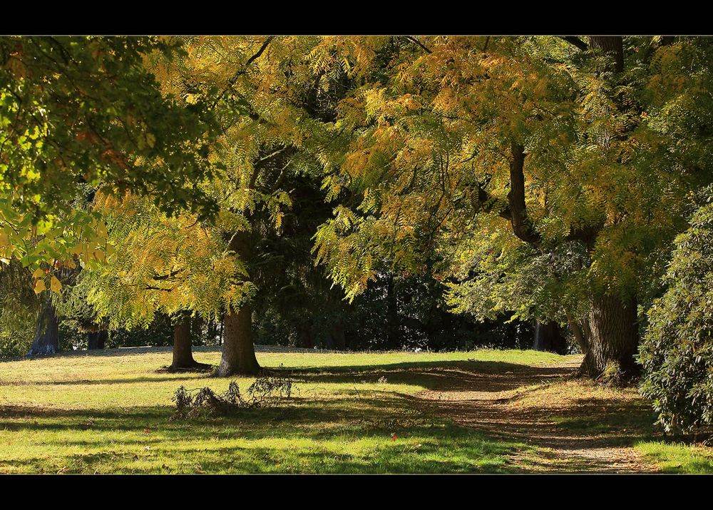 Im Park den Herbst genießen