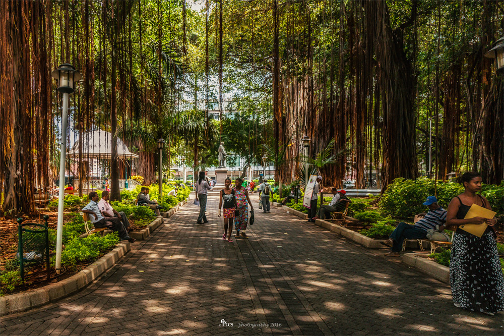 Im Park der Banyanbäume