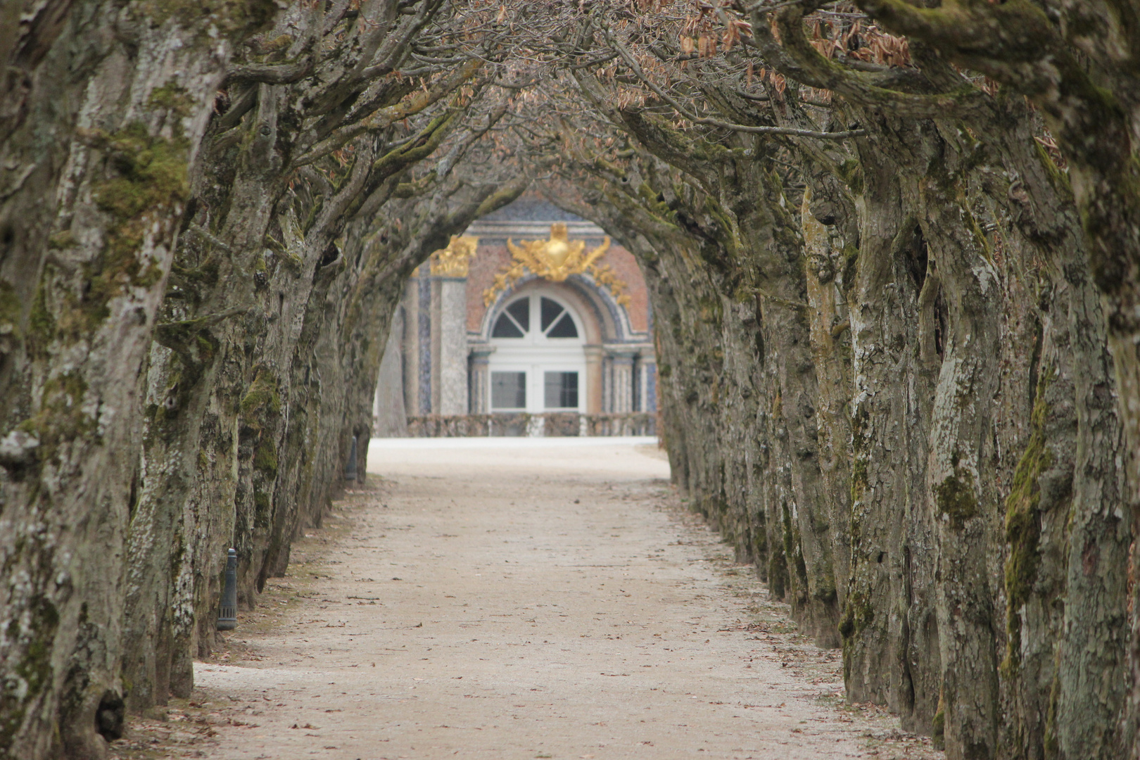 Im Park der Eremitage Bayreuth Foto & Bild landschaft, garten