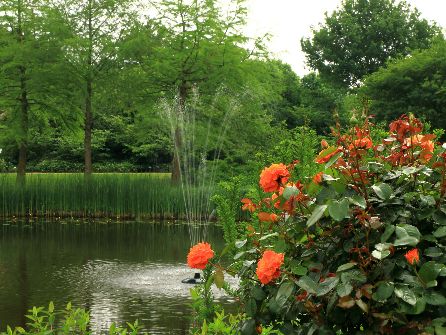 Im Park der Gärten (Bad Zwischenahn) Foto & Bild