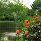 Im Park der Gärten (Bad Zwischenahn)